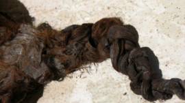 El misterio del cabello encontrado en un féretro en la abadía de Romsey