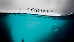 Veja as melhores fotos de natureza do mundo