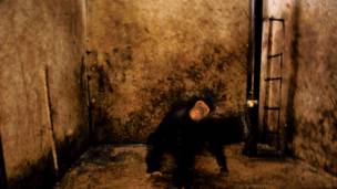 Veja as melhores fotos de natureza do mundo