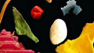 131204005708_sp_microplastic_336x189_bbc