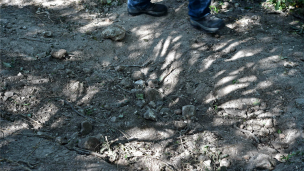Foto Getty Images