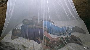 Personas durmiendo con la protección de una red para los mosquitos
