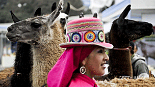 Llama en Perú