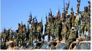 Wanajeshi wa Chad wanadai ushindi dhidi ya Boko Haram