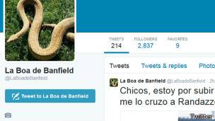Cuenta de Twitter