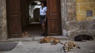 Mujer en puerta con perros