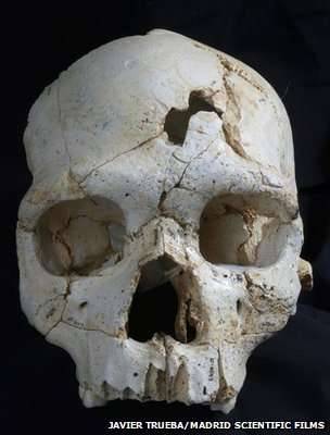 череп неандертальца