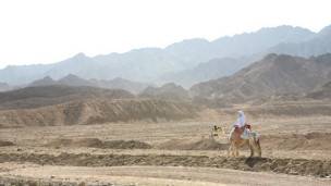 Sinai