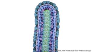 Дэвид С. Гудселл, RCSB Protein Data Bank