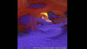 Внутри человеческого глаза, Питер Майорка, Университет Базеля