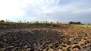 Campo durante sequ&iacute;a en Uruguay