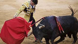 Corrida de toros. Foto de archivo