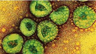 Coronavirus