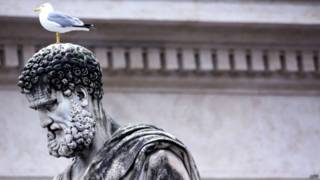 Gaviota sobre estatua en Roma