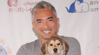 C & # XE9; sar Mill & # XE1; n 