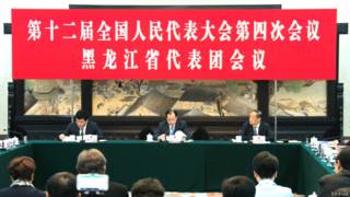 黑龙江省省长陆昊3月6日在人大代表团开放日