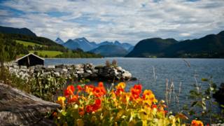 eskorte ålesund homo eskorte gutter bergen eskorte ålesund homo eskorte gutter bergen