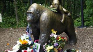 La gente dejó flores, fotos y mensajes para recordar a Harambe, el gorila de 17 años que debió ser sacrificado. 