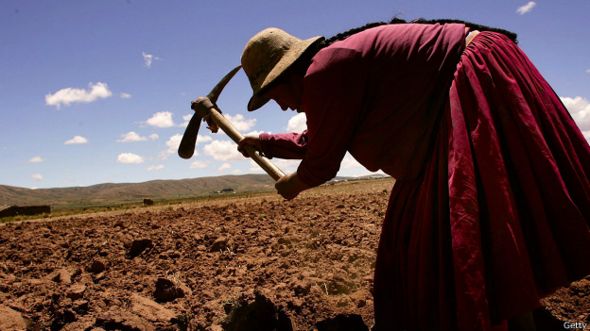 Una campesina ara la tierra en Bolivia