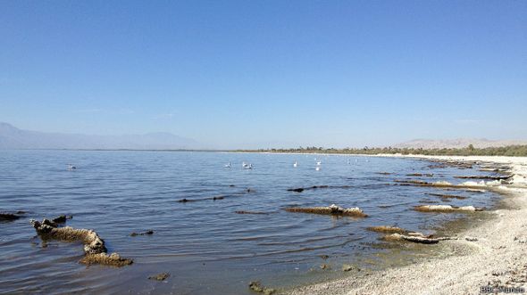 Mar de Salton, California