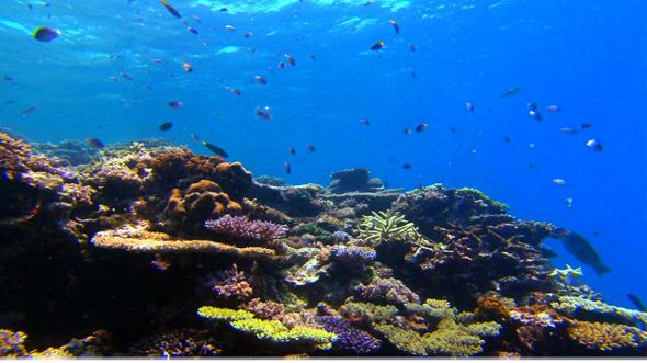 141024155412_the_great_barrier_reef_640x