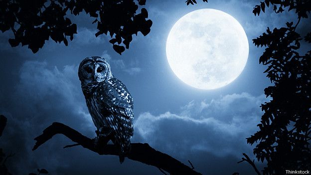 Resultado de imagen para luna llena