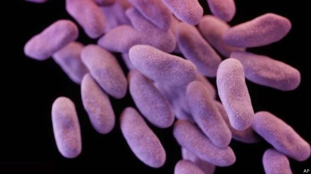 Bacteria resistente