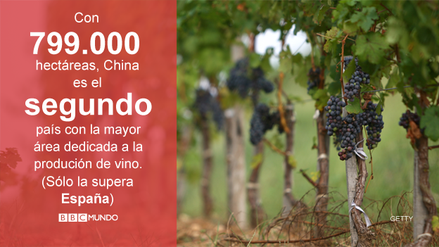 Tierras dedicadas a la producción de vino