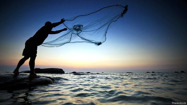 Los océanos ocupan el 70% de la Tierra y contienen el 97% del agua.