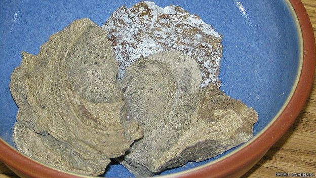 ambergris