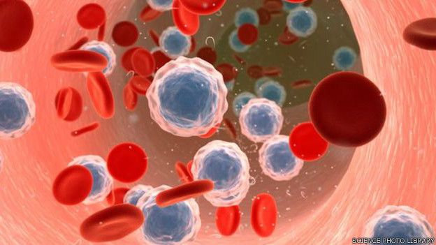 150528132036_blood_cancer_cells__624x351