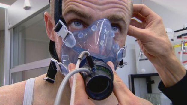 Experimento de Mark Daly.