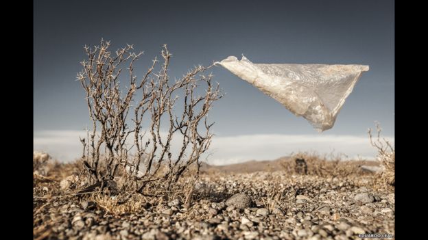 El mundo consume un millón de bolsas de plástico cada minuto. Aquí, una de ellas se quedó enredada en un pequeño arbusto del Altiplano boliviano. Es una foto de Eduardo Leal.