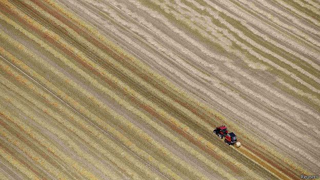 150723140357_plantascampo_624x351_reuters.jpg