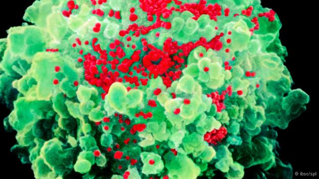 Microbio