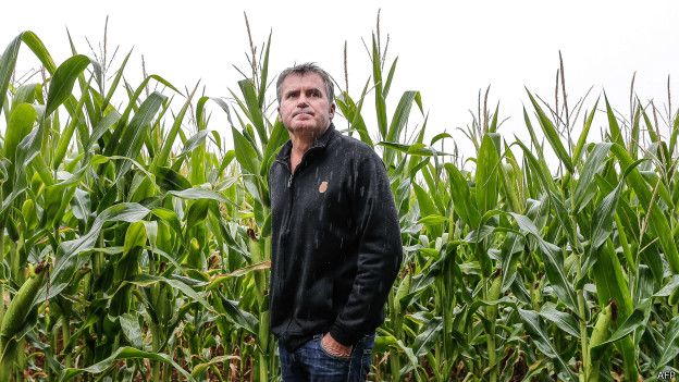 150911135403_francois_juicio_monsanto_fr