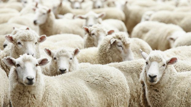 (Foto: Thinkstock)