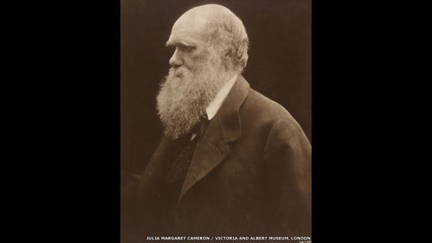  Charles Darwin, 1868. Foto: Julia Margaret Cameron