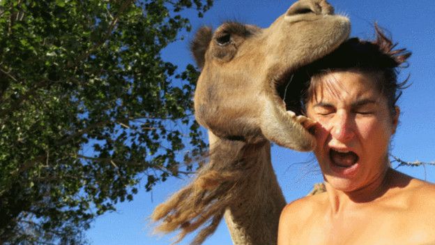 giraffe selfie