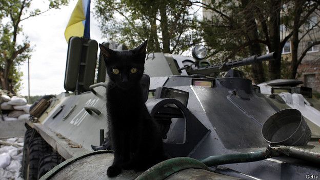 Котенок на БТР