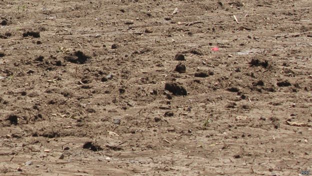 http://ichef.bbci.co.uk/news/ws/624/amz/worldservice/live/assets/images/2015/10/20/151020171342_drought_india_marathwada_gojwada_7_624x351_bbc.jpg