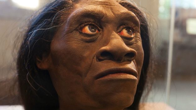 Homo florensiensis