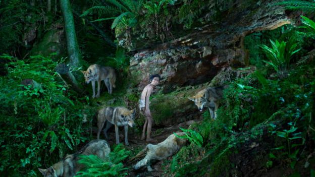 Shamdeo, India, 1972