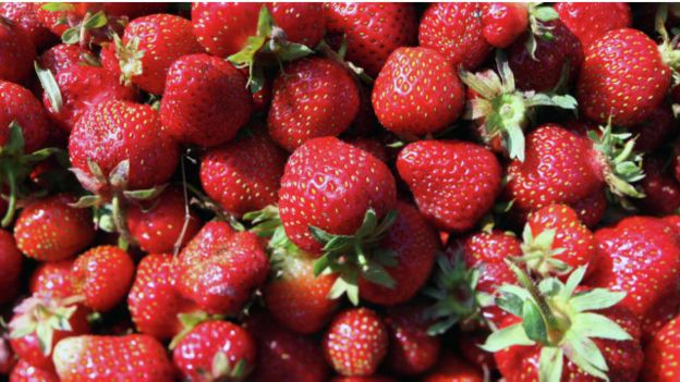 strawberry