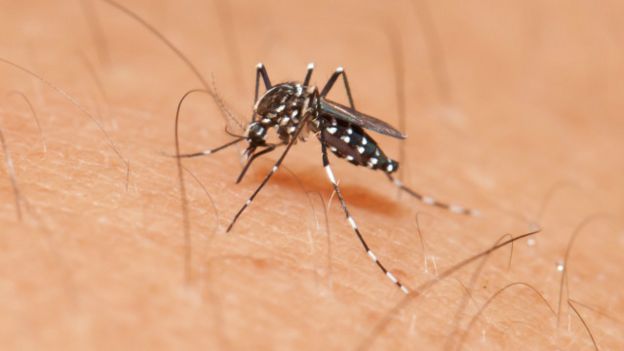 160113235502_zika_promo_640x360_thinkstock_nocredit.jpg