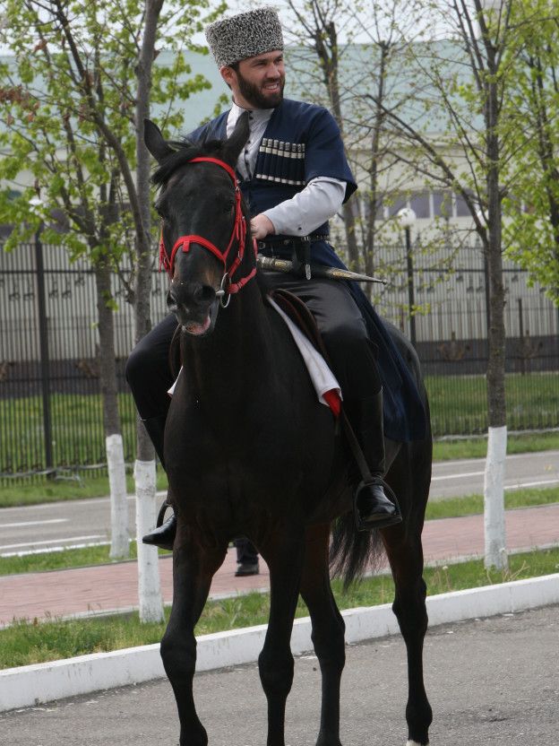 Даудов