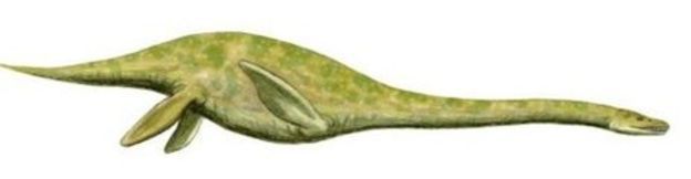 Плезиозавр
