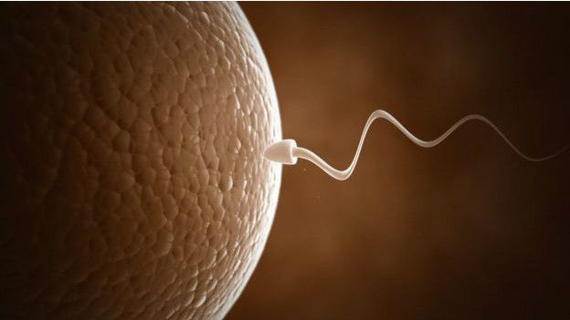 இந்த செயற்கை விந்தணுக்களுக்கு இயற்கை விந்தணுக்களைப்போல வால் பகுதி இருக்கவில்லை