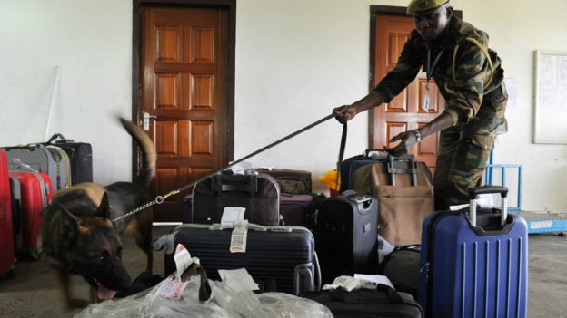 肯尼亞內羅畢國際機場內一名野生保育執法人員領著偵緝犬檢查旅客行李（12/2/2016）