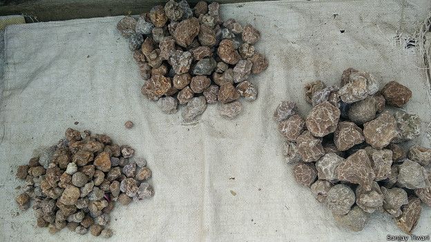 http://ichef.bbci.co.uk/news/ws/624/amz/worldservice/live/assets/images/2016/03/17/160317130336_stone_eaters_maharashtra_624x351_sanjaytiwari.jpg